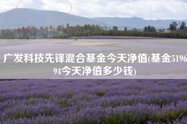 广发科技先锋混合基金今天净值(基金519694今天净值多少钱)
