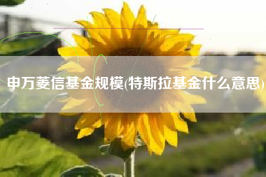 申万菱信基金规模(特斯拉基金什么意思)