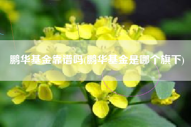 鹏华基金靠谱吗(鹏华基金是哪个旗下)