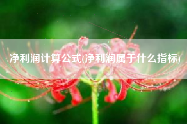 净利润计算公式(净利润属于什么指标)