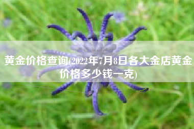 黄金价格查询(2022年7月8日各大金店黄金价格多少钱一克)
