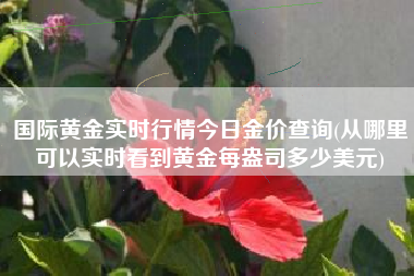 国际黄金实时行情今日金价查询(从哪里可以实时看到黄金每盎司多少美元)