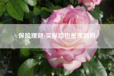 保险理财(买保险也是理财吗)