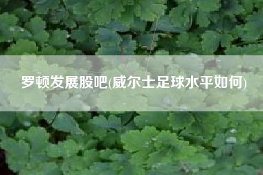 罗顿发展股吧(威尔士足球水平如何)
