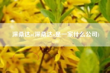 深桑达a(深桑达a是一家什么公司)
