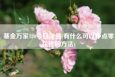 基金万家180今日净值(有什么可以挣点零花钱的方法)