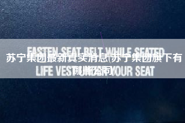 苏宁集团最新真实消息(苏宁集团旗下有哪些公司)