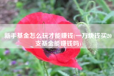 新手基金怎么玩才能赚钱(一万块钱买20支基金能赚钱吗)