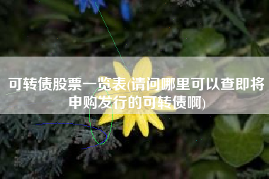 可转债股票一览表(请问哪里可以查即将申购发行的可转债啊)