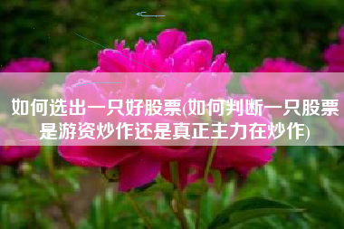 如何选出一只好股票(如何判断一只股票是游资炒作还是真正主力在炒作)