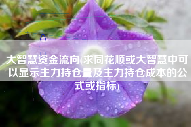 大智慧资金流向(求同花顺或大智慧中可以显示主力持仓量及主力持仓成本的公式或指标)