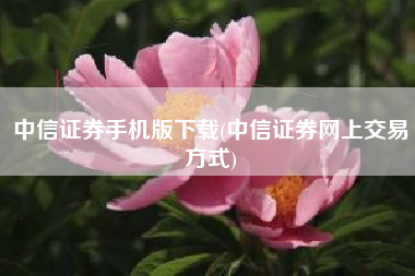 中信证券手机版下载(中信证券网上交易方式)