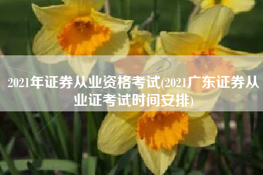 2021年证券从业资格考试(2021广东证券从业证考试时间安排)