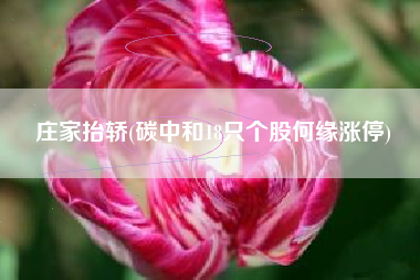 庄家抬轿(碳中和18只个股何缘涨停)