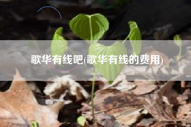 歌华有线吧(歌华有线的费用)