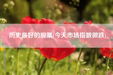 历史最好的股票(今天市场指数微跌)