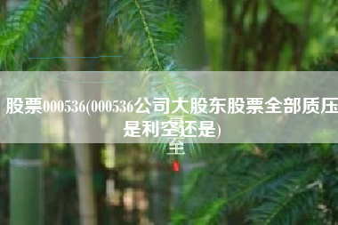 股票000536(000536公司大股东股票全部质压是利空还是)
