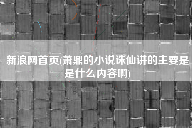 新浪网首页(萧鼎的小说诛仙讲的主要是是什么内容啊)