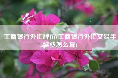 工商银行外汇牌价(工商银行外汇交易手续费怎么算)