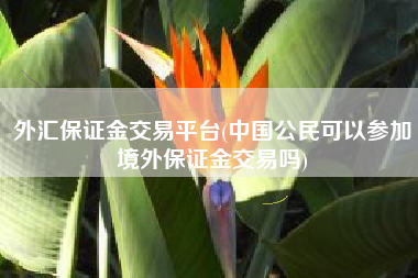 外汇保证金交易平台(中国公民可以参加境外保证金交易吗)
