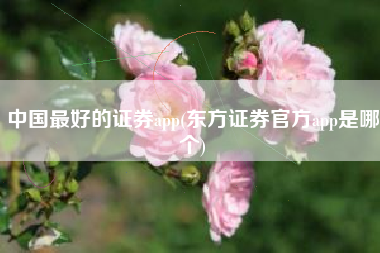 中国最好的证券app(东方证券官方app是哪个)