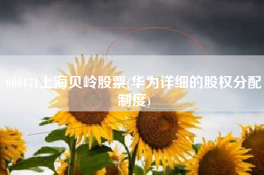 600171上海贝岭股票(华为详细的股权分配制度)