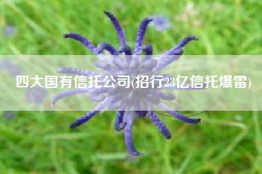 四大国有信托公司(招行23亿信托爆雷)
