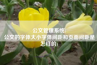 公文管理系统(
公文的字体大小字体间距和页面间距是怎样的) 公文管理系统(
公文的字体大小字体间距和页面间距是怎样的)