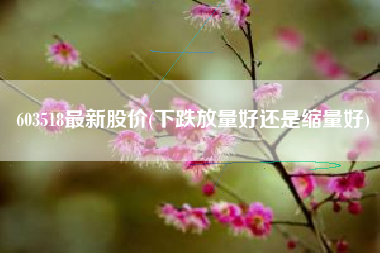 603518最新股价(下跌放量好还是缩量好)