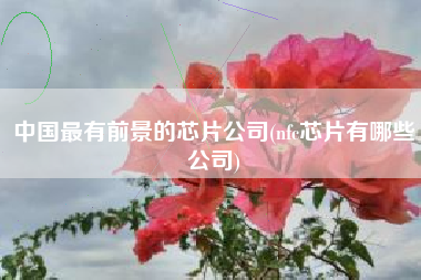 中国最有前景的芯片公司(nfc芯片有哪些公司)