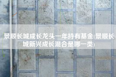 景顺长城成长龙头一年持有基金(景顺长城新兴成长混合是哪一类)