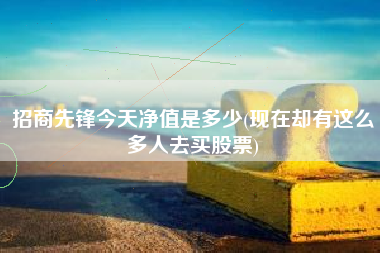 招商先锋今天净值是多少(现在却有这么多人去买股票)