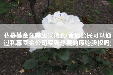 私募基金在哪里买得到(普通公民可以通过私募基金公司买到想要的原始股权吗)