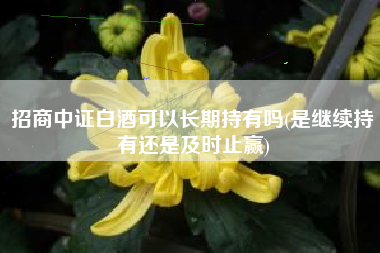 招商中证白酒可以长期持有吗(是继续持有还是及时止赢)