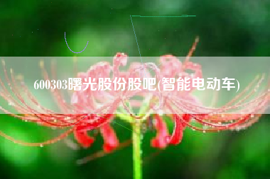 600303曙光股份股吧(智能电动车)