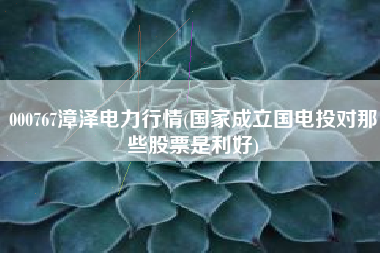 000767漳泽电力行情(国家成立国电投对那些股票是利好)