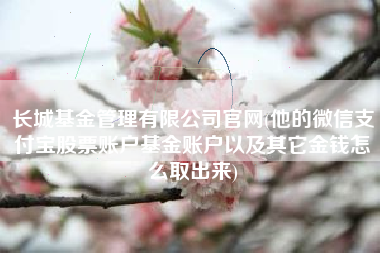 长城基金管理有限公司官网(他的微信支付宝股票账户基金账户以及其它金钱怎么取出来)