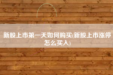 新股上市第一天如何购买(新股上市涨停怎么买入)
