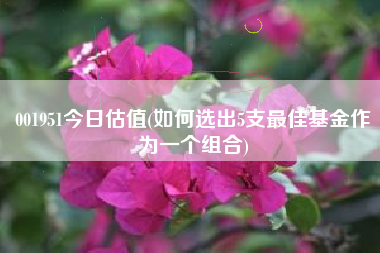 001951今日估值(如何选出5支最佳基金作为一个组合)
