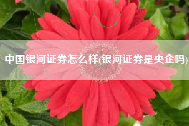 中国银河证券怎么样(银河证券是央企吗)