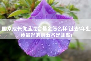国泰成长优选混合基金怎么样(过去5年业绩最好的前五名是哪些)