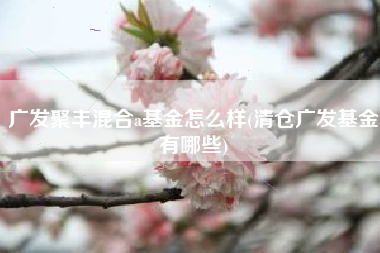 广发聚丰混合a基金怎么样(清仓广发基金有哪些)