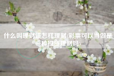 什么叫理财该怎样理财(彩票可以当做是一种投资理财吗)