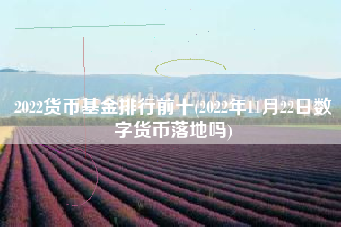 2022货币基金排行前十(2022年11月22日数字货币落地吗)
