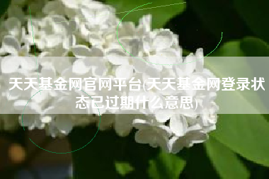 天天基金网官网平台(天天基金网登录状态已过期什么意思)