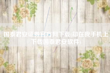 国泰君安证券官方网下载(却在我手机上下载国泰君安软件)