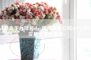 基金平台排名app(哪些基金公司APP上购买基金费用最低)