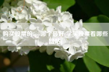 购买股票的app哪个最好(学买股票看哪些网站)