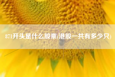 871开头是什么股票(港股一共有多少只)
