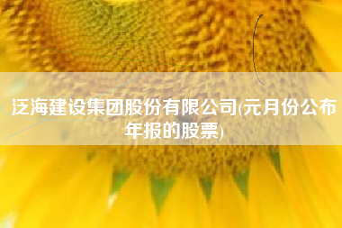 泛海建设集团股份有限公司(元月份公布年报的股票)